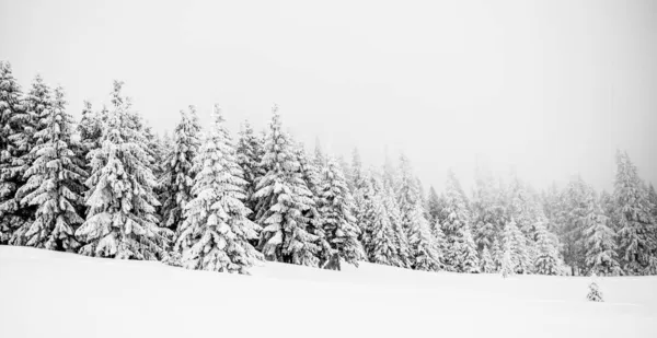 Panorama Mglistego Zimowego Krajobrazu Górach — Zdjęcie stockowe