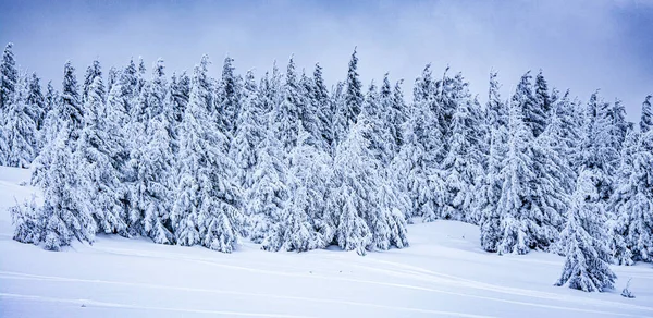 Panorama Över Dimmiga Vinterlandskapet Berget — Stockfoto