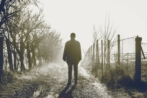 Man Walking Foggy Autumn Landscape — Stock Photo, Image