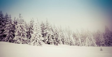 Dağdaki sisli kış manzarasının manzarası.