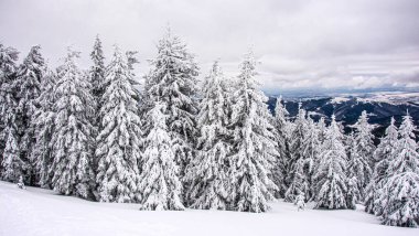 Dağdaki sisli kış manzarasının manzarası