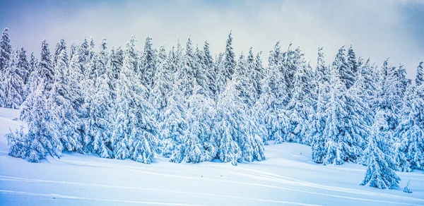 Panorama Över Dimmiga Vinterlandskapet Berget — Stockfoto