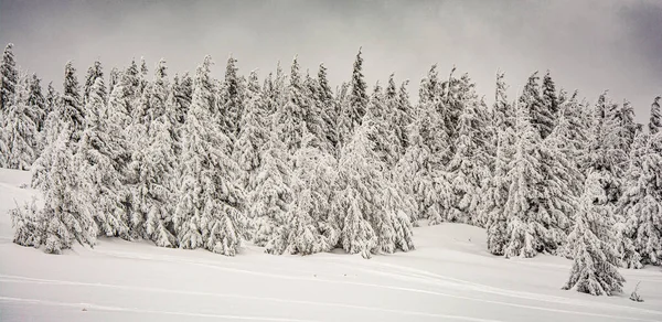 Panorama Der Nebligen Winterlandschaft Gebirge — Stockfoto