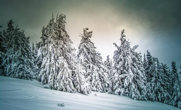 Panorama Foggy Winter Landscape Mountain — Stock Photo, Image