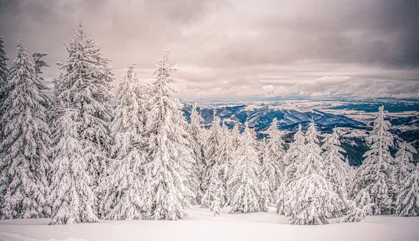 Panorama Nebulosa Paisagem Inverno Montanha — Fotografia de Stock
