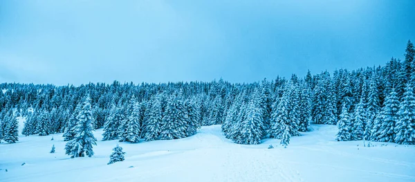 Panorama Mglistego Zimowego Krajobrazu Górach — Zdjęcie stockowe