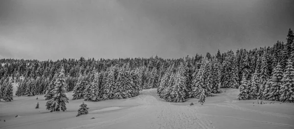 Panorama Mglistego Zimowego Krajobrazu Górach — Zdjęcie stockowe