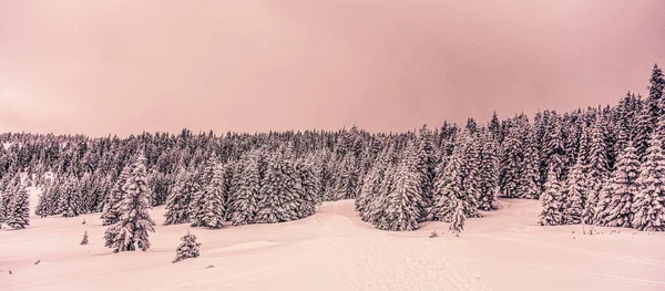 Panorama Mglistego Zimowego Krajobrazu Górach — Zdjęcie stockowe