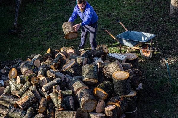 Elinde Baltayla Odun Kesen Bir Adam Odun Kesmek Için Bir — Stok fotoğraf