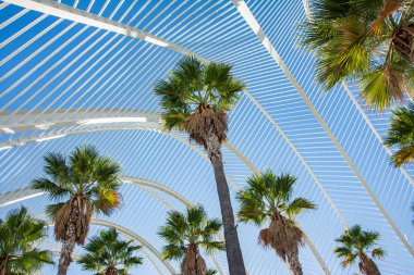  Bitkilerde Umbracle, peyzajlı bir yürüyüş, o şehir sanat ve Bilimler - Valencia, İspanya