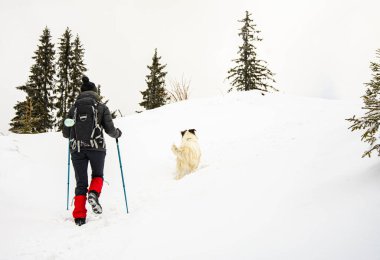 Genç kadın ve beyaz köpek kış dağlarında yürüyorlar.