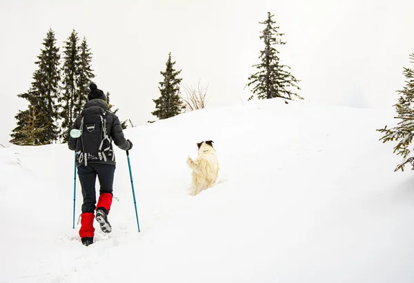 冬の山での若い女性と白い犬のトレッキング — ストック写真
