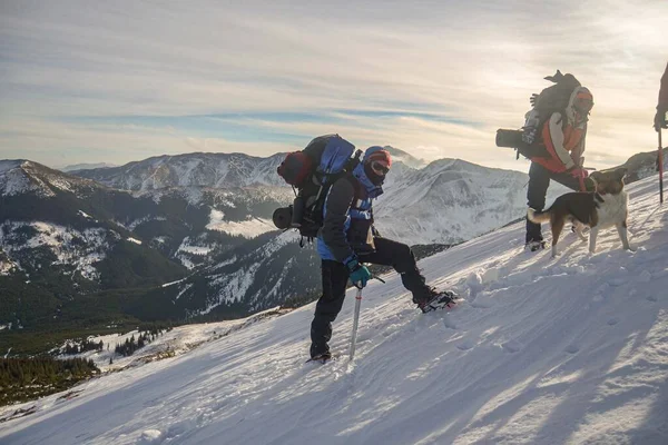 山の中でハイキング 冬のハイキング 冬は山に登る — ストック写真