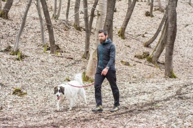 Ormanda köpeğiyle yürüyen bir adam.