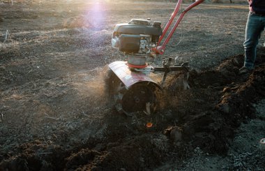 Çiftçi bir dümenciyle tarlayı otlatıyor. İnsan toprak ekicisini gevşetiyor..