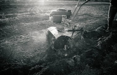 Çiftçi bir dümenciyle tarlayı otlatıyor. İnsan toprak ekicisini gevşetiyor..