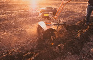 Çiftçi bir dümenciyle tarlayı otlatıyor. İnsan toprak ekicisini gevşetiyor..