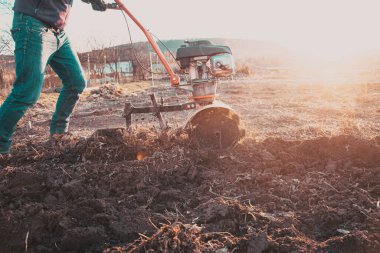 Çiftçi bir dümenciyle tarlayı otlatıyor. İnsan toprak ekicisini gevşetiyor..