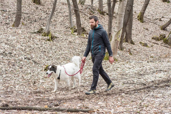 Ormanda köpeğiyle yürüyen bir adam.