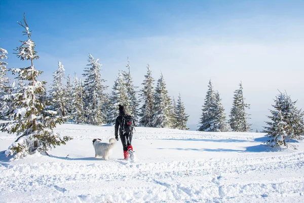 Woman hiking with dog in winter mountains