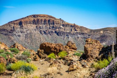El Teide Ulusal Parkı 'ndaki muhteşem manzara