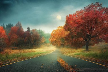 Sürdürülebilir gelişim biyolojik çeşitlilik ekolojisini ve doğal ortamları korumak için teknolojinin kullanımını gösteren sonbahar manzarası. 3 boyutlu görüntüleme. Metaevren