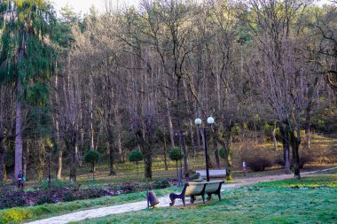 Boş bir park ve kışın bir bank.