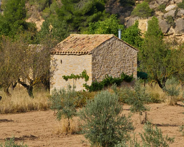 Maison Ancienne Pierre Dans Montagne — Photo