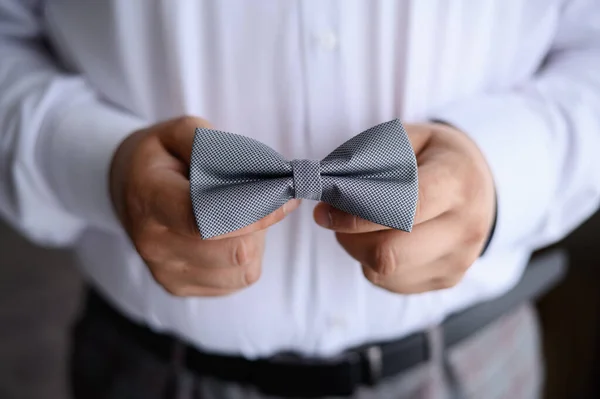 Серый галстук-бабочка в руках жениха. Бабочка в руках мужчины — стоковое фото