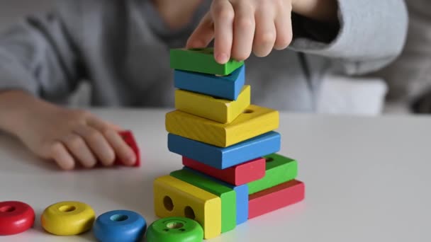 Een kind speelt met een gekleurd educatief houten speelgoed. Kinderspeelgoed Houten speelgoed — Stockvideo