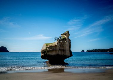 Yalnız bir kaya Yeni Zelanda 'da okyanusta duruyor..