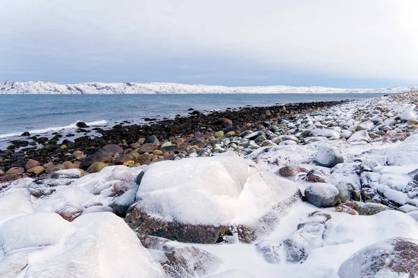 Attrazioni Naturali Della Costa Del Mare Barents Rotondo Grandi Pietre — Foto Stock