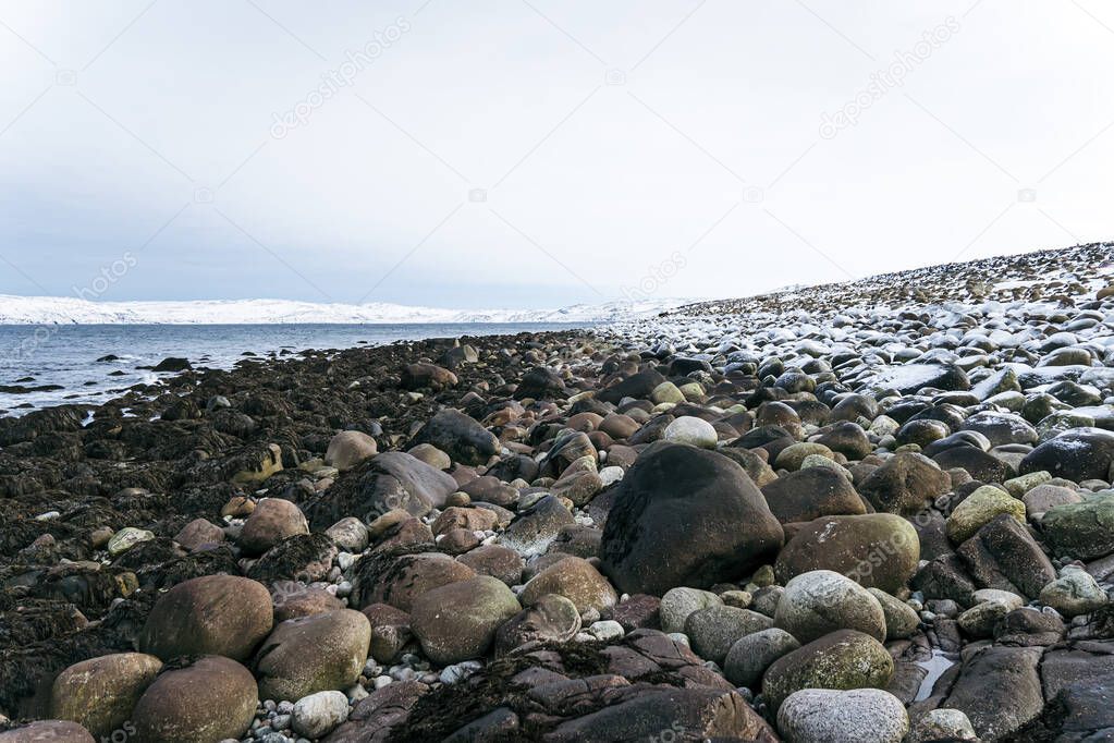 natural attractions of the Barents sea coast. Round large stones on the shore of the Arctic Ocean. Dragon eggs beach. Teriberka Russia, Kola peninsula.