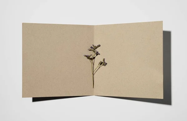 植物とのステーショナリーペーパーのトップビュー。高品質の美しい写真のコンセプト — ストック写真