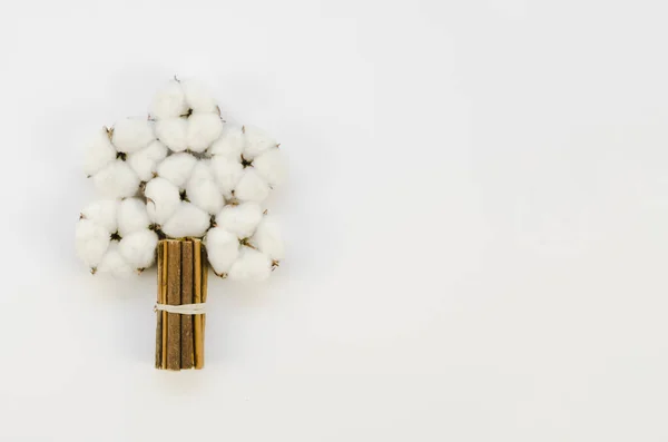 Baumwollblumen-Strauß mit Kopierraum von oben. Hochwertiges schönes Foto-Konzept — Stockfoto