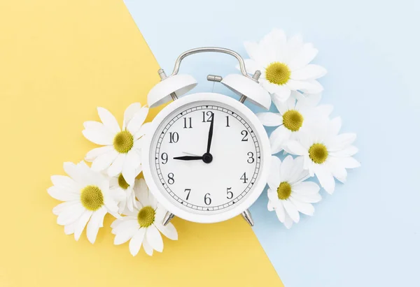 Top view arrangement with clock daisies. High quality beautiful photo concept — Stock Photo, Image