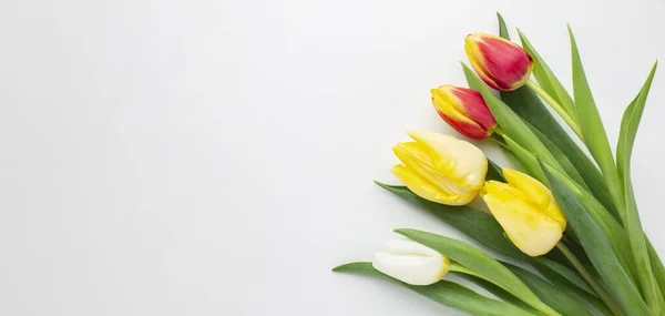 Copier l'espace fleurs de tulipes. Haute qualité beau concept photo — Photo