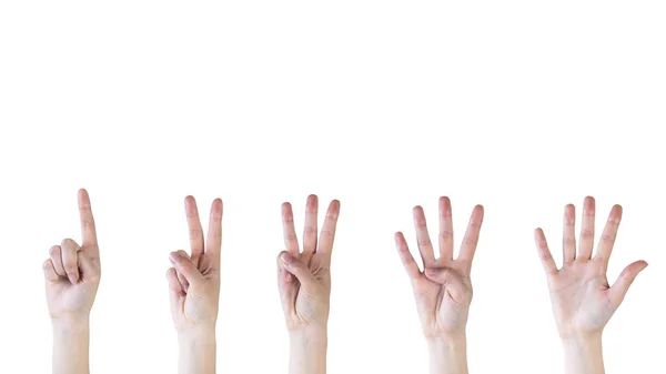 Foto Zählen der Hände von eins bis fünf auf weißem Hintergrund. Hochwertiges schönes Foto-Konzept — Stockfoto