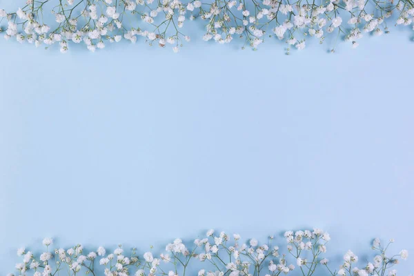 white baby breath s flower border blue background with copy space writing text. High quality beautiful photo concept