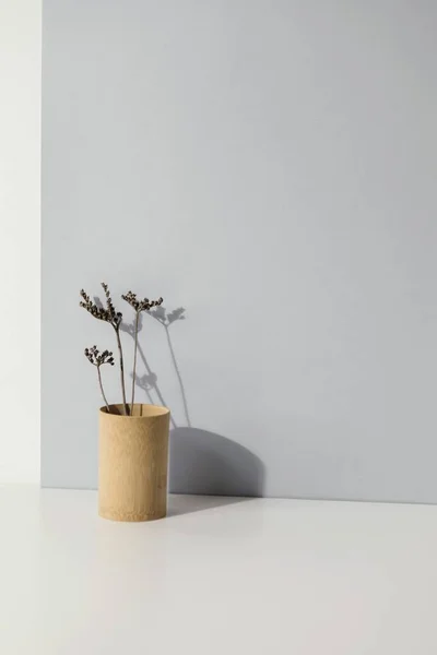 Абстрактное минимальное пространство для копирования растительной вазы. Концепция красивой фотографии высокого качества — стоковое фото