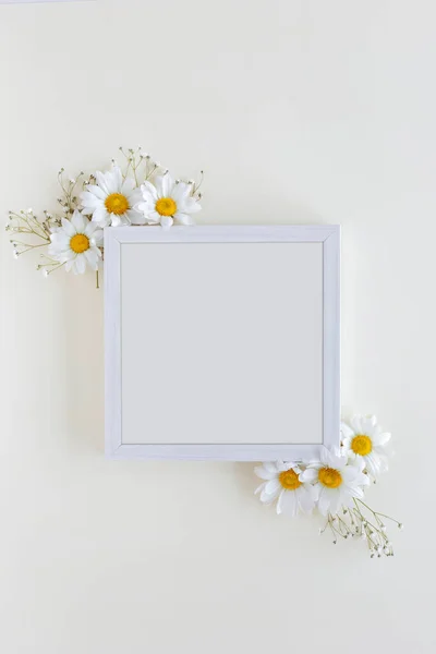 Vista superior moldura em branco decorado com flores brancas margarida fundo branco — Fotografia de Stock