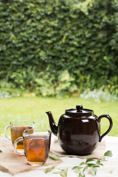 Stock image two transparent mug herbal tea with teapot table garden