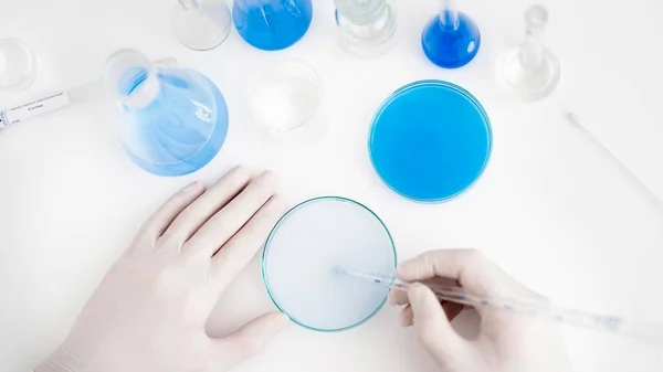 Fechar as mãos com pipeta placa de Petri — Fotografia de Stock