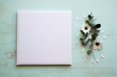 Çiçek cd modeli. Yüksek kalite fotoğraf
