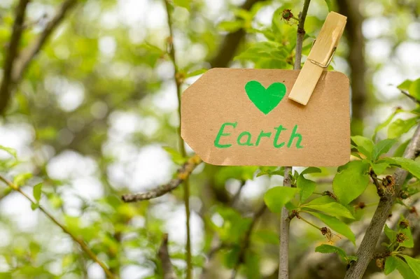 stock image earth sign tree. High quality photo