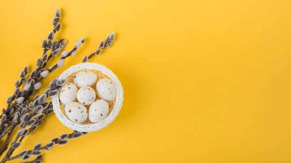 Ouă de pui alb castron cu ramuri de salcie. Fotografie de înaltă calitate — Fotografie, imagine de stoc