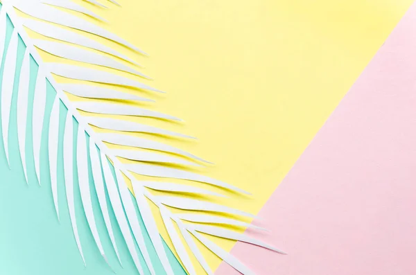 Papper palmblad flerfärgat bord. Högkvalitativt foto — Stockfoto