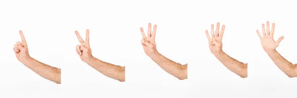 Crop hands counting five. High quality photo — Stock Photo, Image