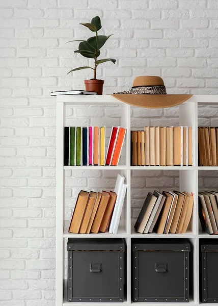 Bibliothèque avec chapeau végétal. Photo de haute qualité — Photo