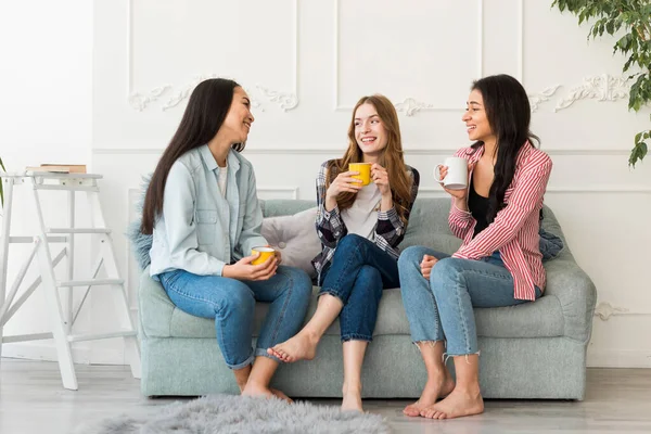 women sitting sofa chatting holding cups hand. High resolution photo